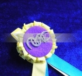 掛帶獎?wù)?掛帶勛章,掛帶徽章,掛帶獎牌,掛帶胸章