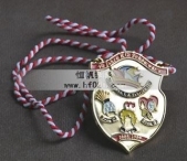 卡通獲獎(jiǎng)掛牌金牌,持繩掛牌獎(jiǎng)牌,紀(jì)念彩畫獎(jiǎng)牌